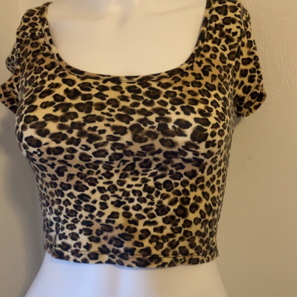 Leopard Print Scoop Neck Crop Top - Brown